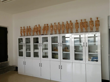 石家莊冀聯(lián)醫(yī)學(xué)院中醫(yī)康復(fù)保健專業(yè)