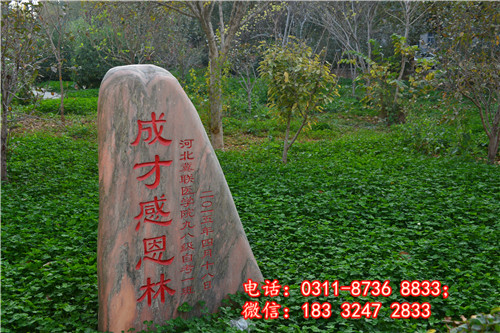 石家莊冀聯(lián)醫(yī)學(xué)院校園