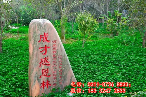 石家莊冀聯(lián)醫(yī)學院學費多少？