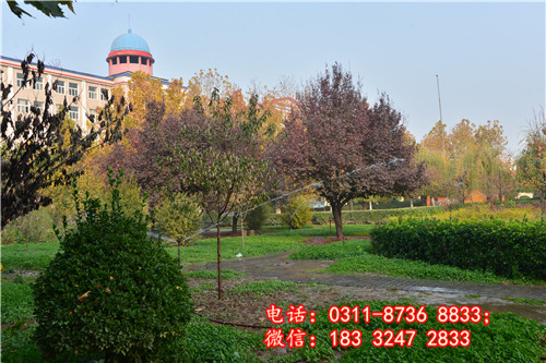 石家莊冀聯(lián)醫(yī)學(xué)院校園一角2.jpg 石家莊冀聯(lián)醫(yī)學(xué)院校園一角2.jpg