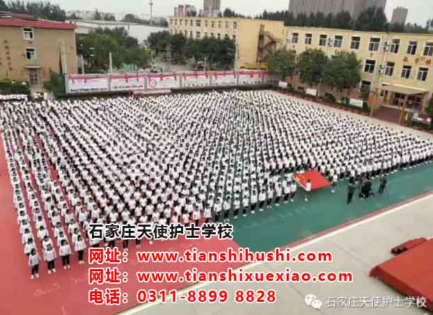 如何從北站坐公交車到石家莊天使護(hù)士學(xué)校？