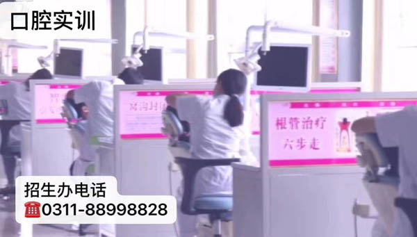 石家莊天使護(hù)士學(xué)?？谇粚I(yè)介紹