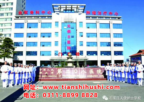 石家莊天使護士學校哪個地區(qū)的學生多