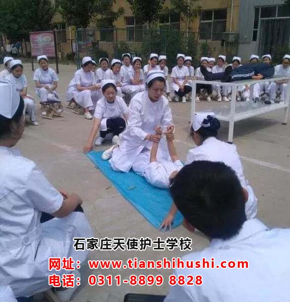 石家莊天使護士學?？梢詧笞x臨床醫(yī)學專業(yè)嗎