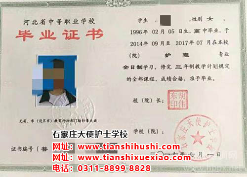 石家莊天使護士學校是公辦學校嗎