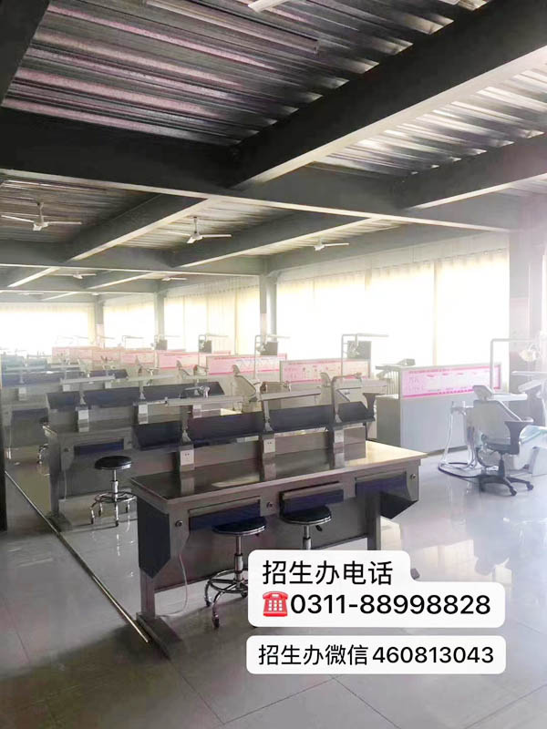 來石家莊天使護(hù)士學(xué)校學(xué)口腔專業(yè)就業(yè)前景怎么樣