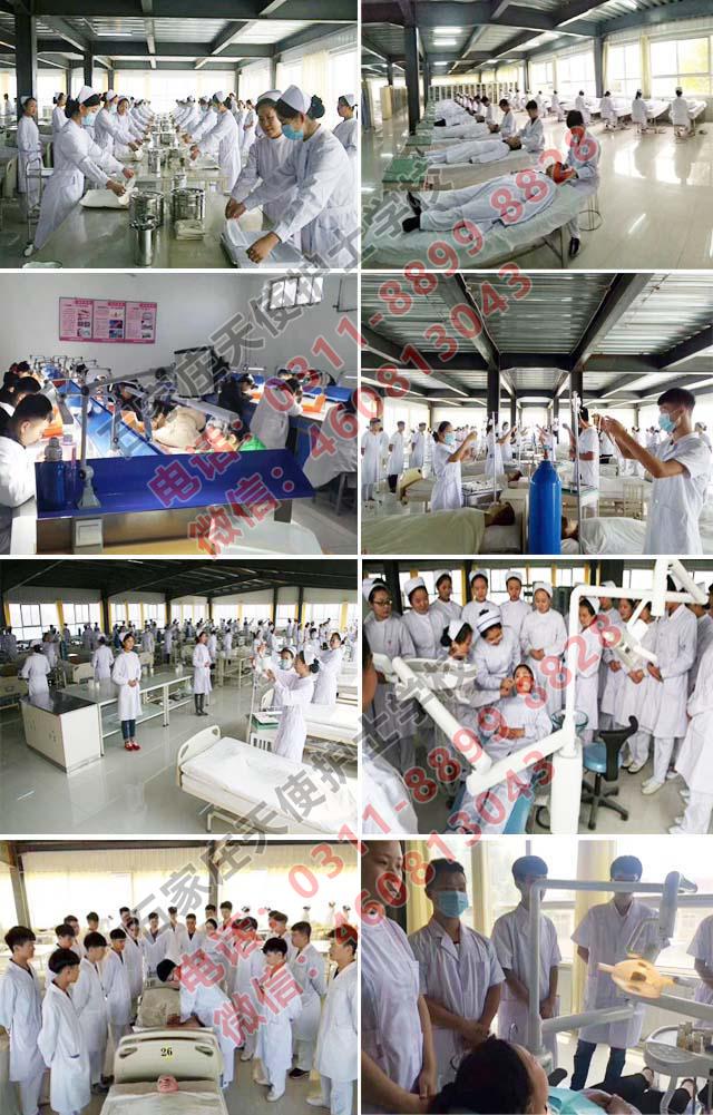 初中生學(xué)護(hù)士哪個學(xué)校好