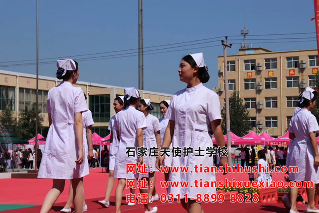 石家莊市天使護(hù)士學(xué)校2021年春季分?jǐn)?shù)線