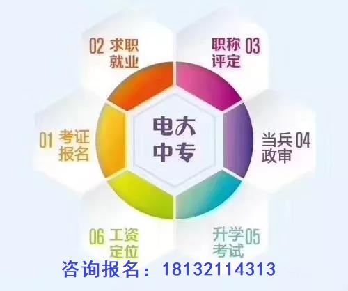 電大中專報考條件有哪些？