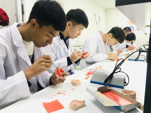 學習口腔修復(fù)工藝專業(yè)能當牙醫(yī)嗎？