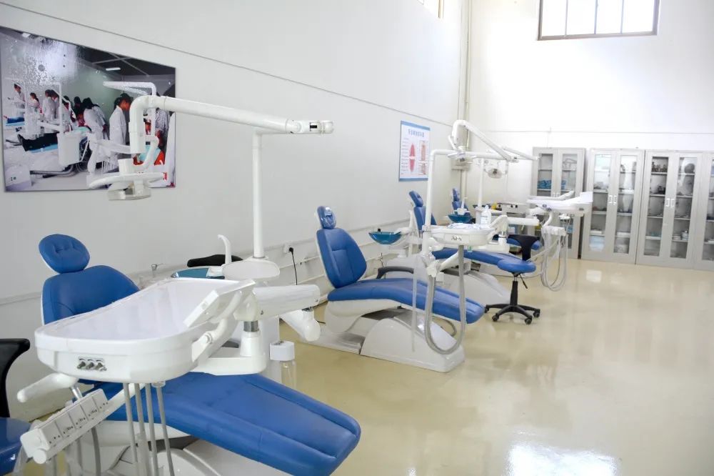 石家莊柯棣華醫(yī)學(xué)院2024年春季招生