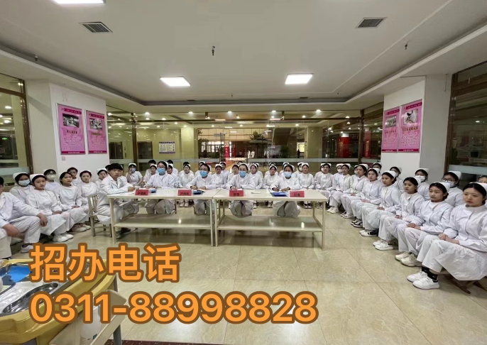 護(hù)理專業(yè)招生簡章 | 石家莊天使護(hù)士學(xué)校 2024年春季新生報名正式開始