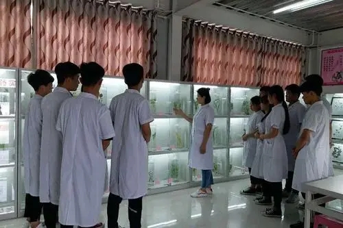 初中畢業(yè)學(xué)藥劑師學(xué)校哪里有