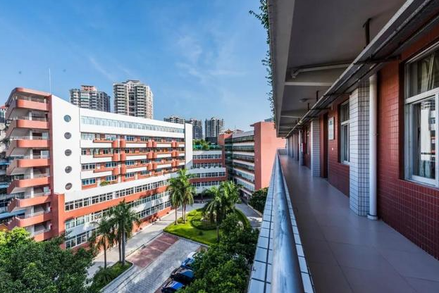 河北省2023年“3+2”貫通培養(yǎng)學校及專業(yè)名單