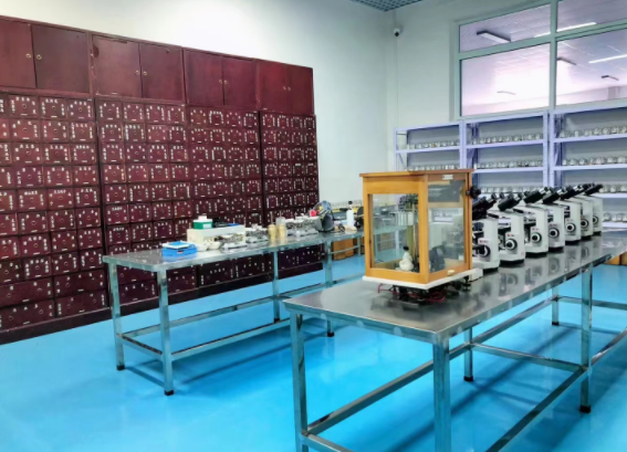 中藥專業(yè)就業(yè)方向