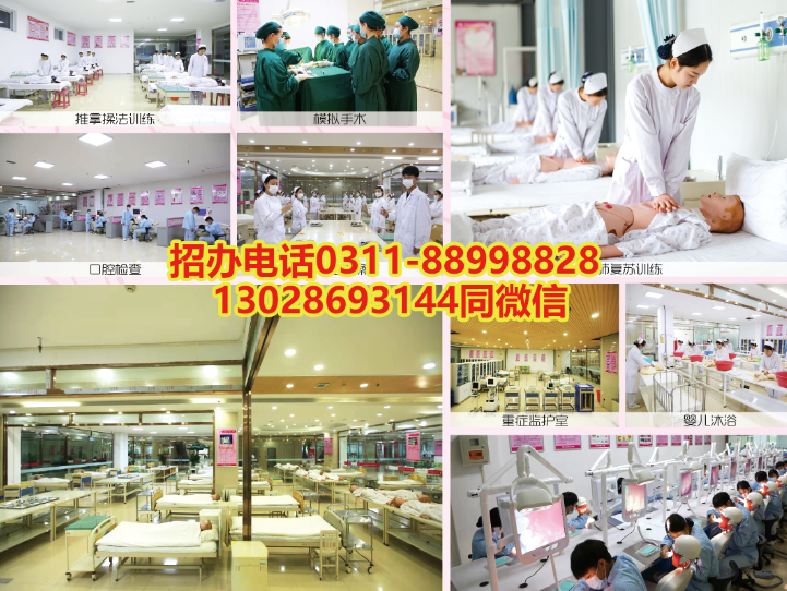 石家莊天使護(hù)士學(xué)校2024年秋季招生報(bào)名方式