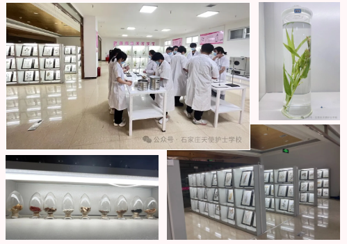 QQ截圖20240417184130.png QQ截圖20240417184130.png