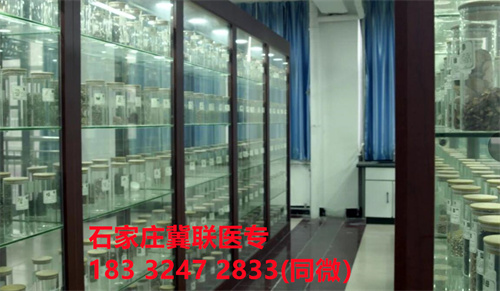 中專(zhuān)中藥專(zhuān)業(yè)能考哪些證書(shū)？